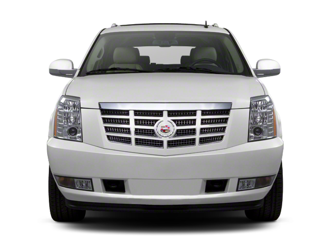 2010 Cadillac Escalade ESV Platinum Edition