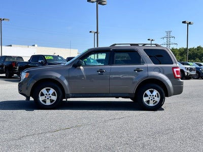 2011 Ford Escape XLT